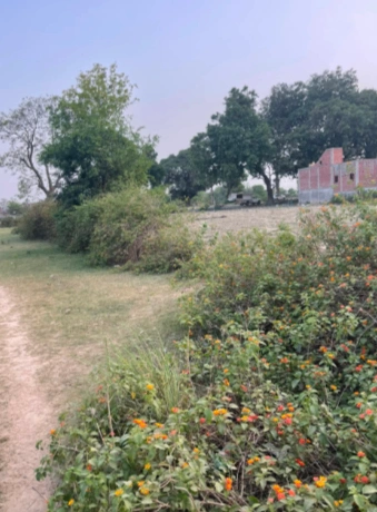 Bakshi's K-1465, Shahjahanpur, Choma, Sector 1, Palam Vihar, Gurugram, Haryana 122017, India