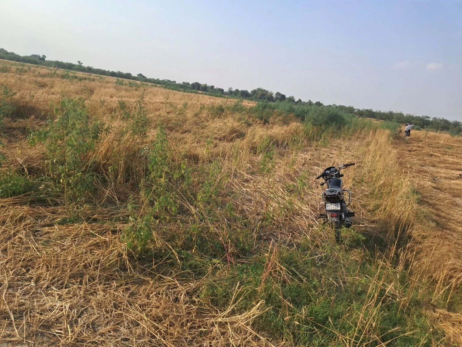 Q5VH+JG Manjha Kala, Uttar Pradesh, India