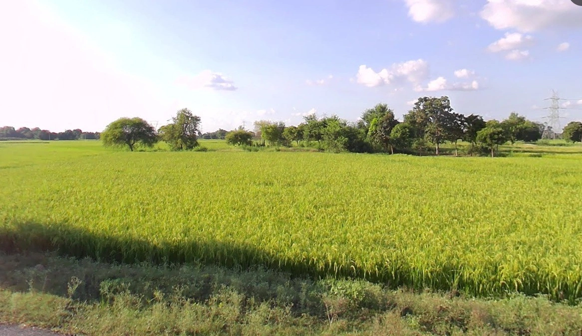 Seoni, Madhya Pradesh 480661, India