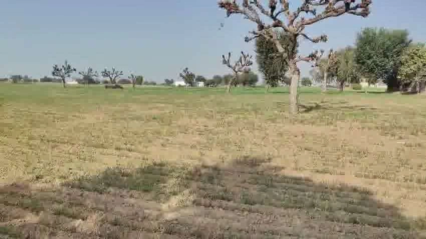 Yahiyapur, Uttar Pradesh 251201, India