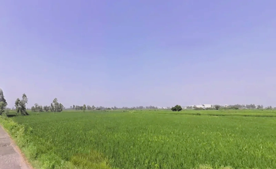 Bilaspur Kalan, Haryana 122413, India preview 3