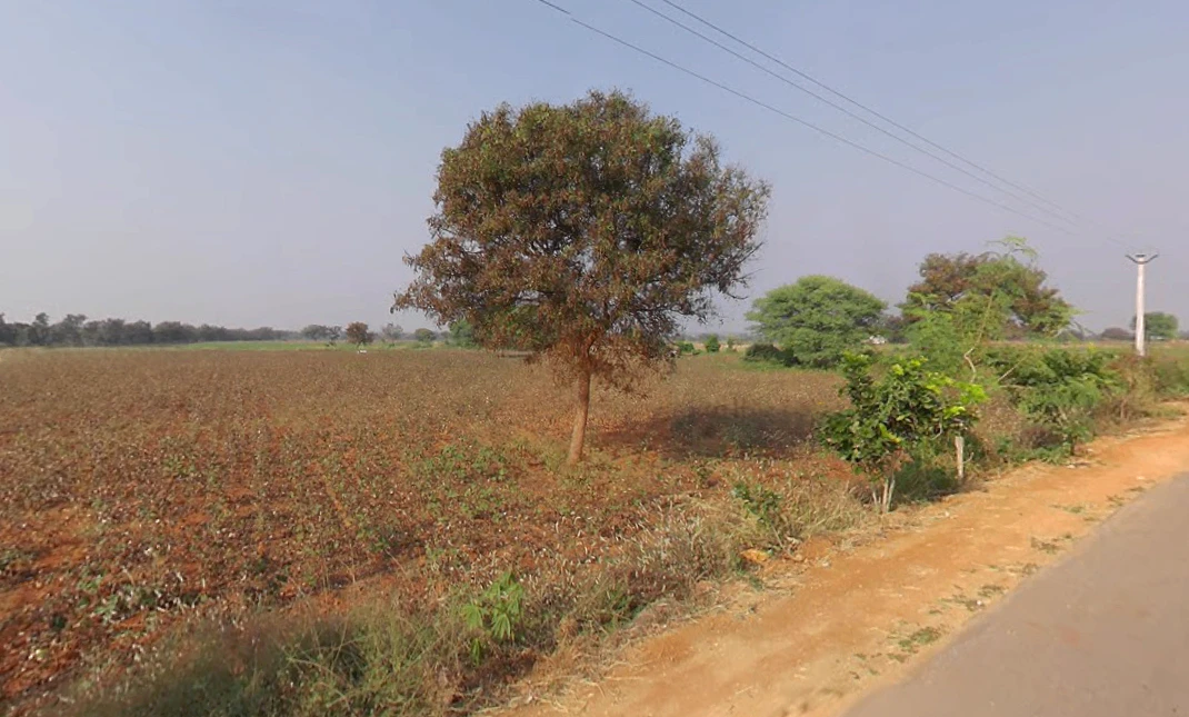 JJ37+8R Vangoor, Telangana, India