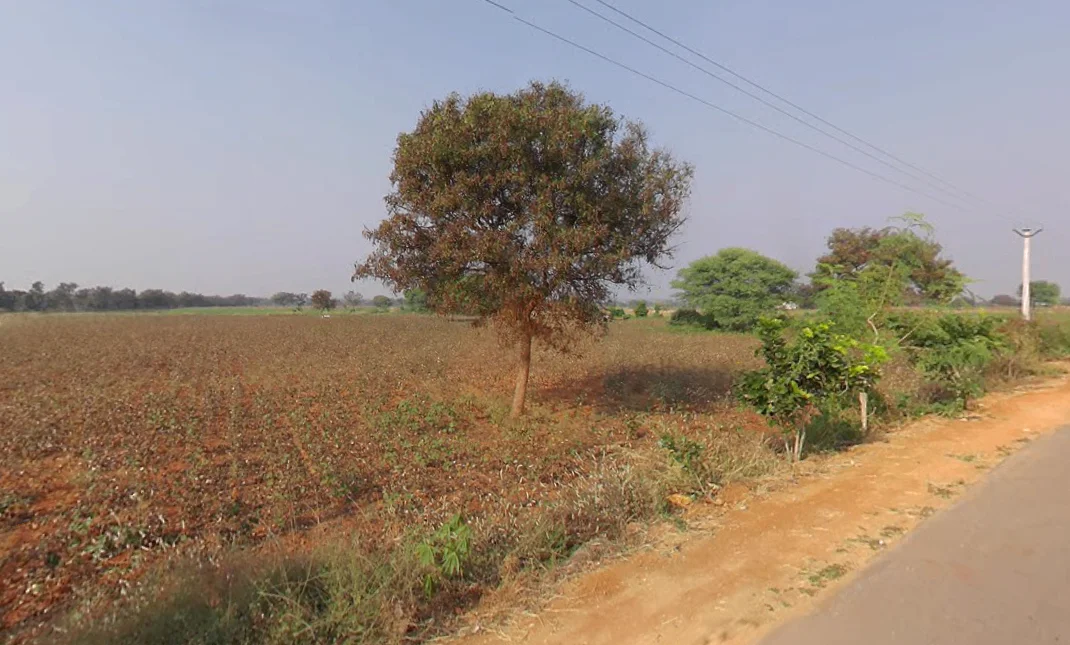 JJ37+8R Vangoor, Telangana, India preview 3