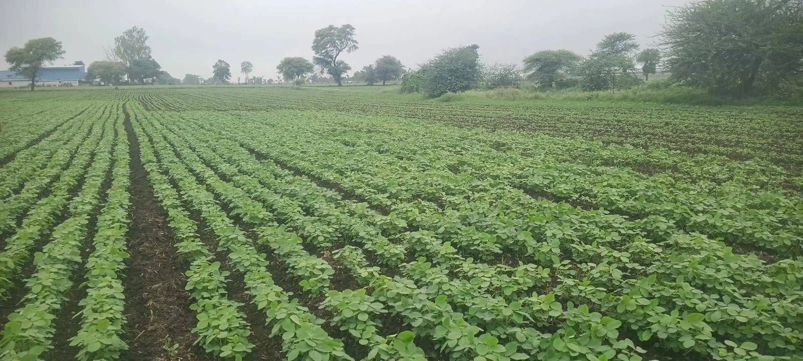 RRCH+6PJ, Indore, Rewati, Madhya Pradesh, India