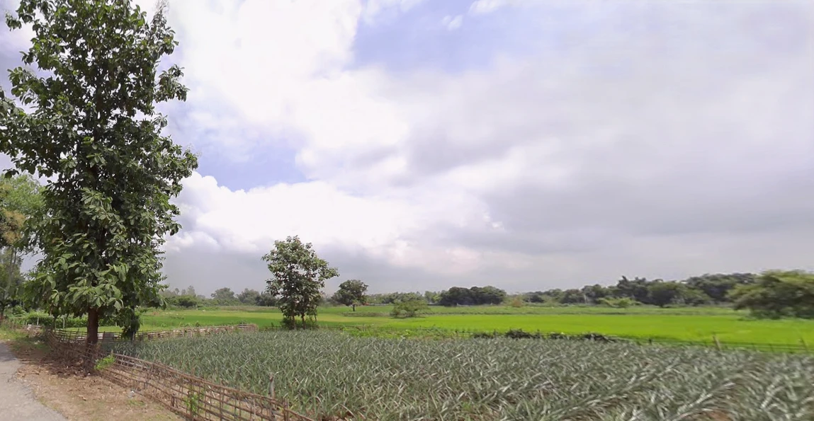 Ghoshpukur, West Bengal 734426, India