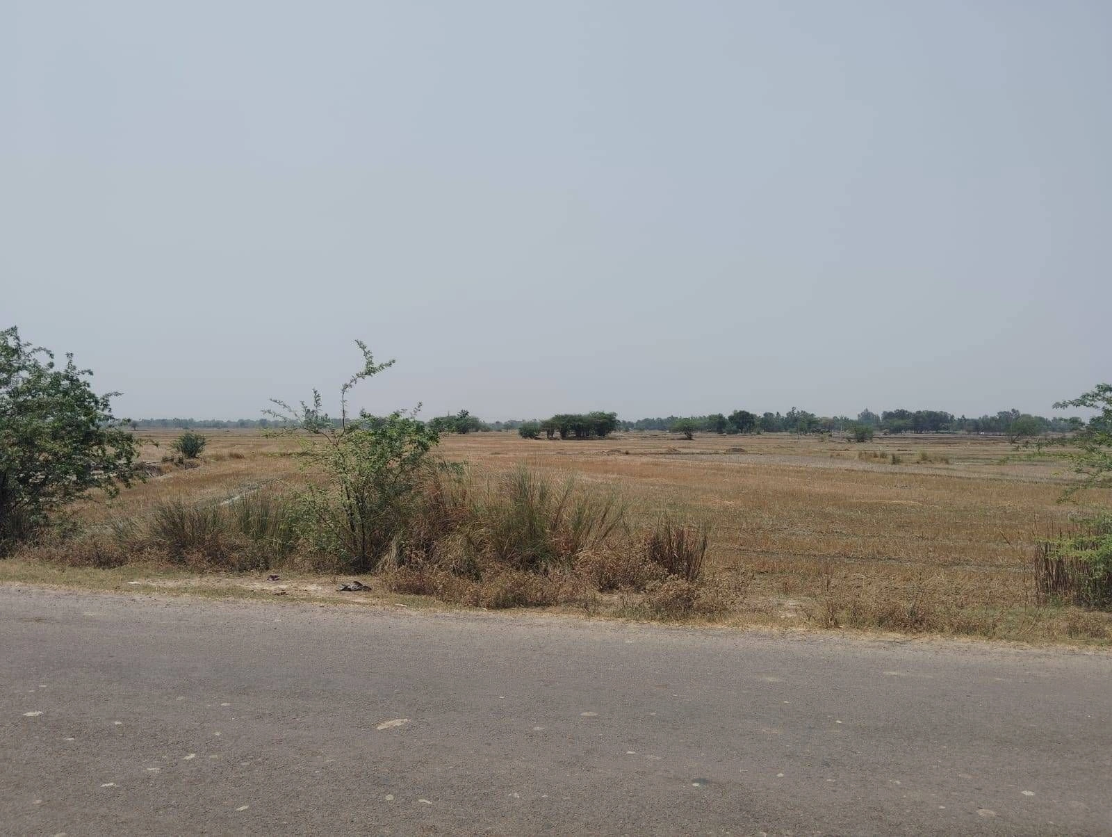 5CJR+PP Rorwa, Uttar Pradesh, India