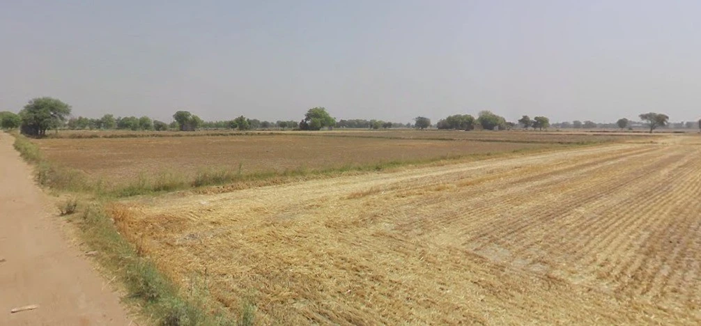 Dayalpur, Haryana, India