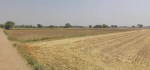 Dayalpur, Haryana, India preview 2