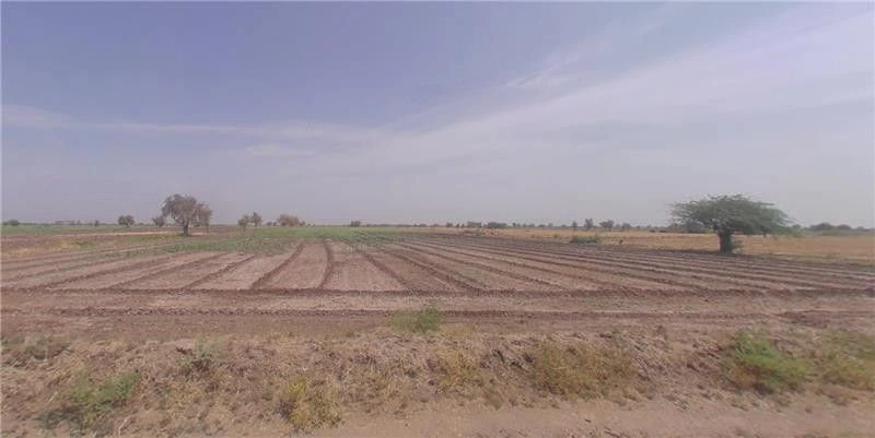 Gedi, Gujarat 370165, India preview 2