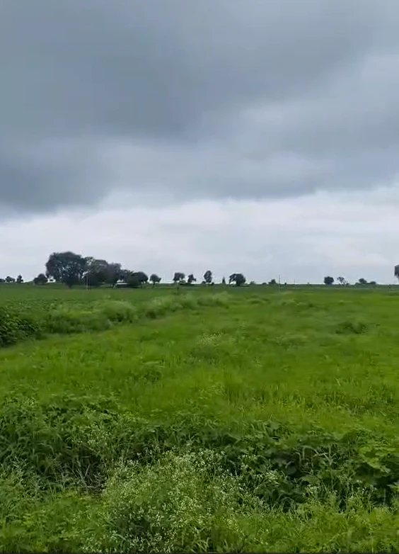 Ringnodiya, Indore, Madhya Pradesh, India