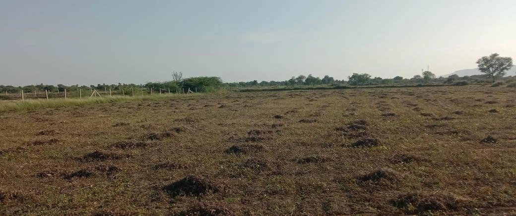 Salgyawas, Rajasthan, India