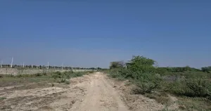 Q9W2+JF8, Pali, Rajasthan 306401, India preview 2