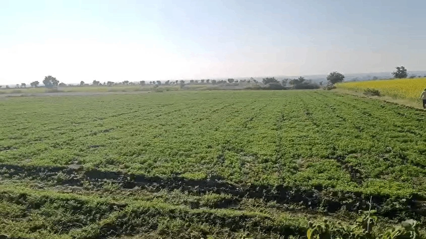 WCGM+2J5, Chakatya, Madhya Pradesh 458389, India