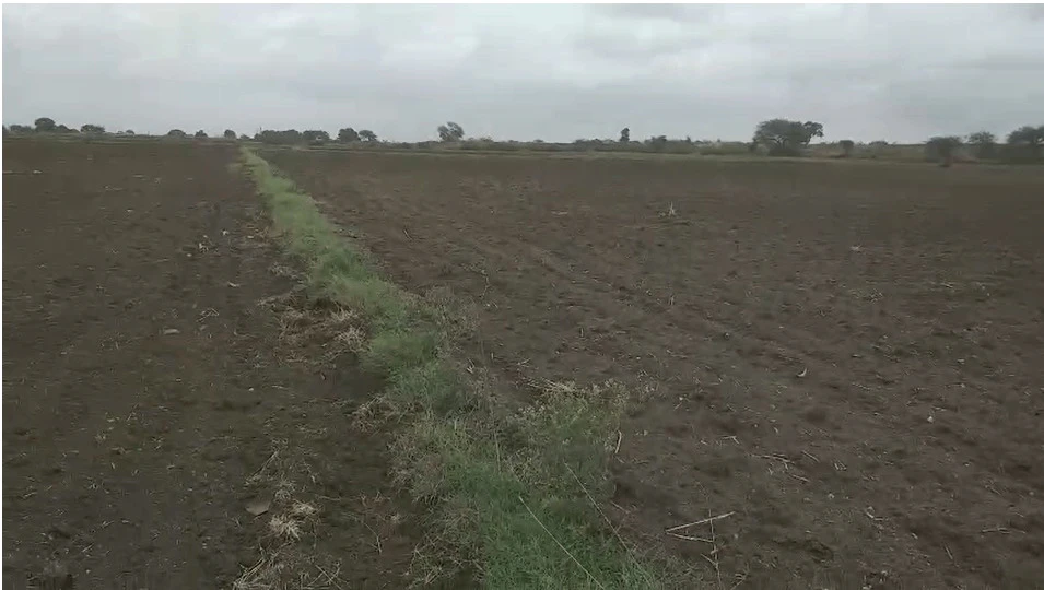 Dhamnod, Madhya Pradesh, India