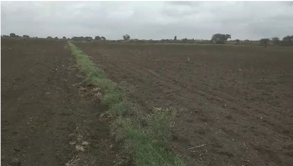 Dhamnod, Madhya Pradesh, India