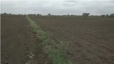 Dhamnod, Madhya Pradesh, India preview 3