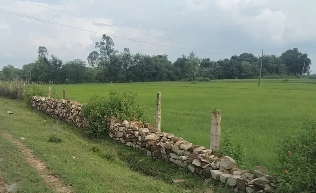 Sarai, Madhya Pradesh, India