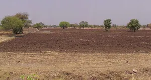 Amarkantak, Madhya Pradesh, India preview 3