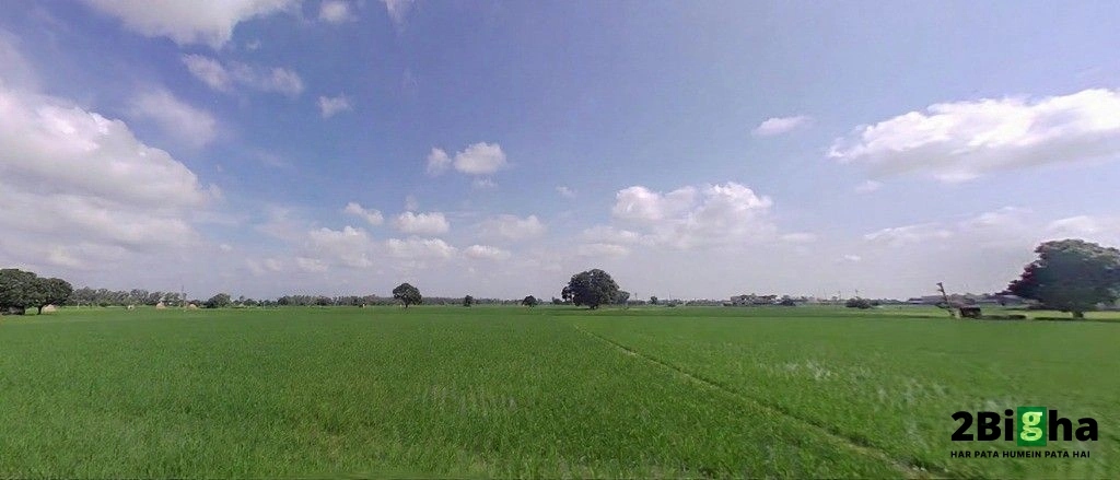 Nilokheri, Haryana 132117, India