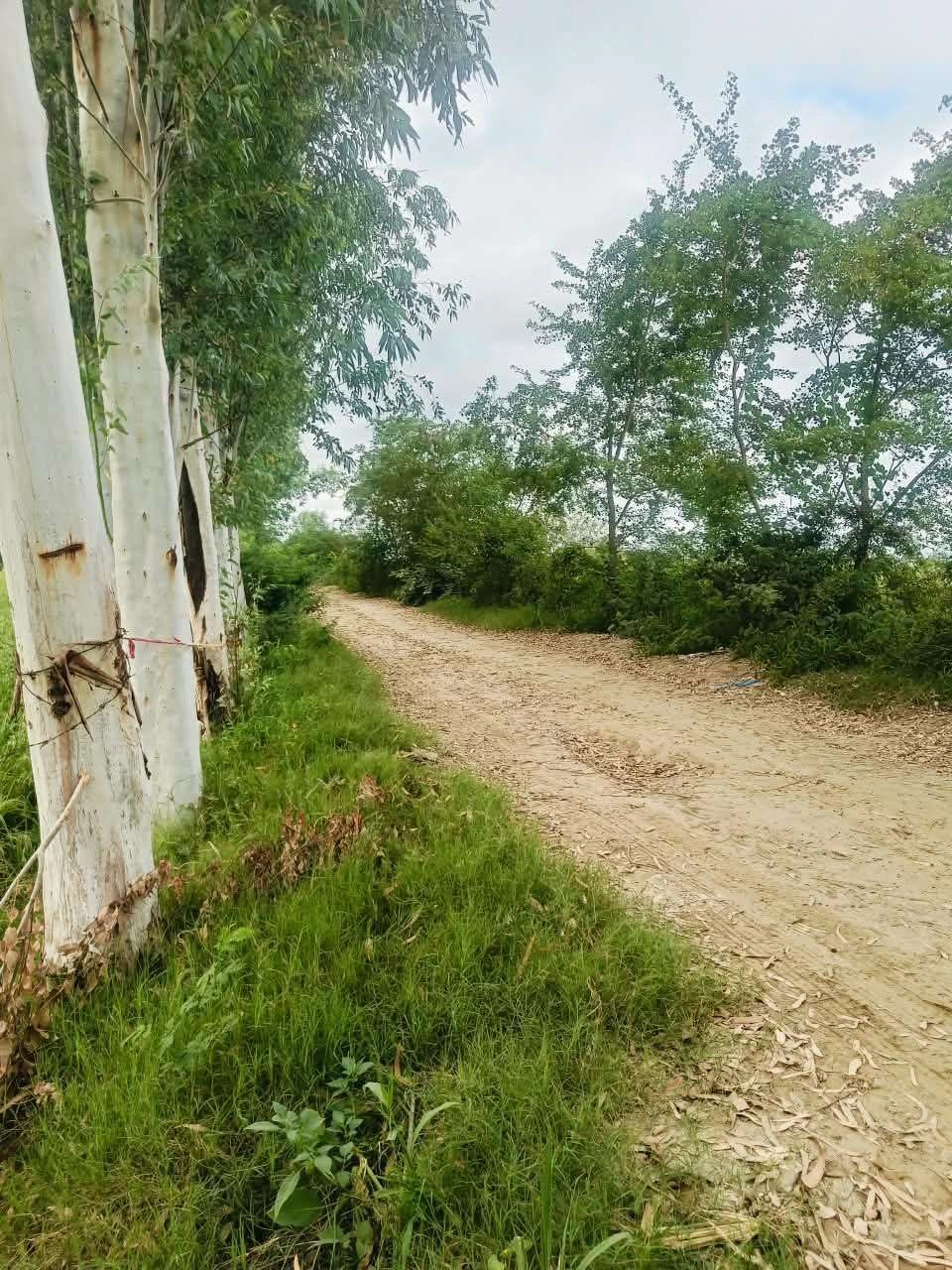 Malhu, Mathura, Uttar Pradesh 281123, India