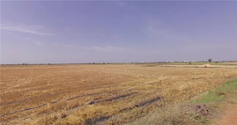 Viramgam, Gujarat 382150, India