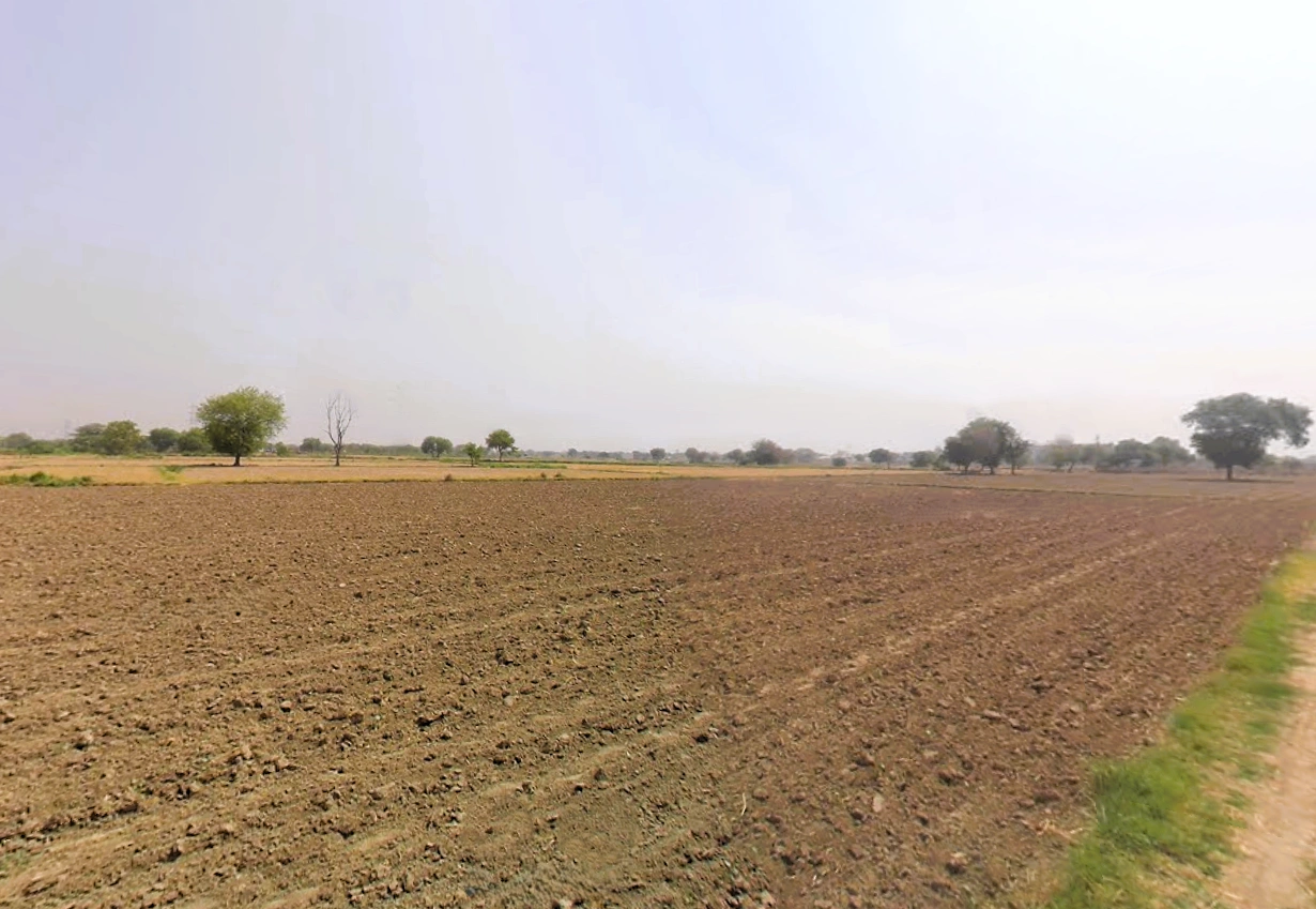 Pirthla, Haryana, India