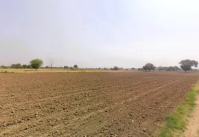 Pirthla, Haryana, India preview 3
