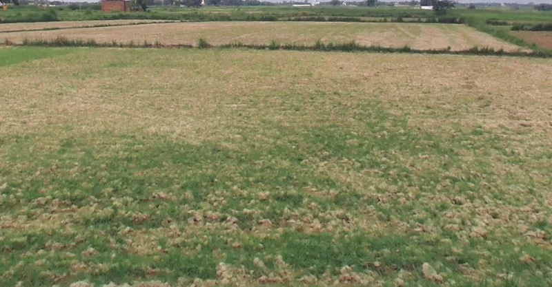 Biaora, Madhya Pradesh 465674, India preview 3