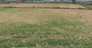 Biaora, Madhya Pradesh 465674, India preview 3