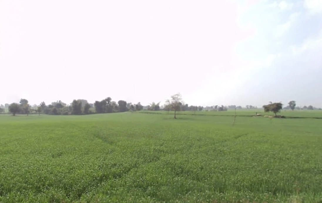 Khategaon, Madhya Pradesh 455336, India preview 3