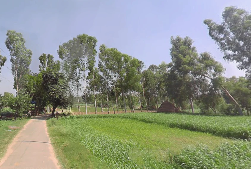 Gajraula, Uttar Pradesh, India