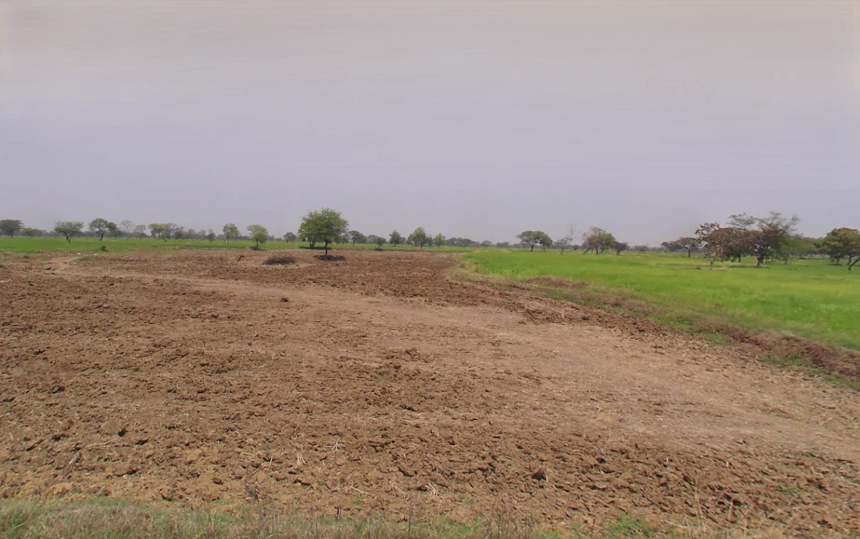 Siltara, Chhattisgarh 491111, India