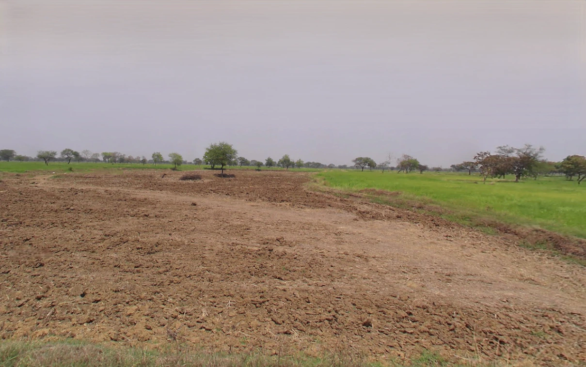 Siltara, Chhattisgarh 491111, India