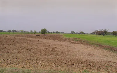 Siltara, Chhattisgarh 491111, India preview 2