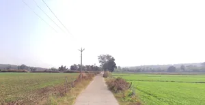 Delawadi, Madhya Pradesh, India preview 2