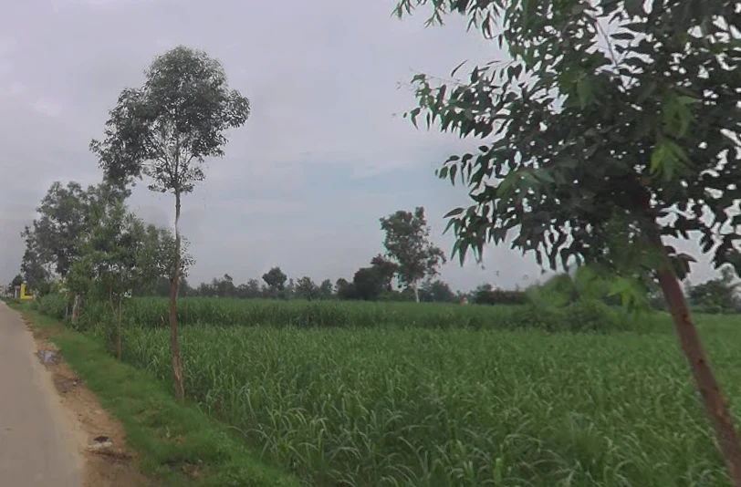 Behat, Uttar Pradesh 247121, India