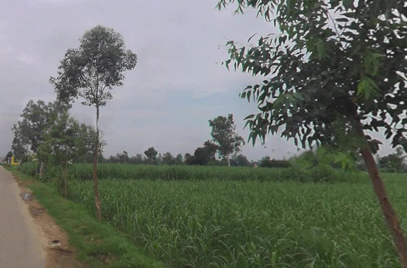 Behat, Uttar Pradesh 247121, India