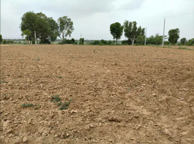 VF84+MJR, Boraj, Rajasthan 303338, India preview 2