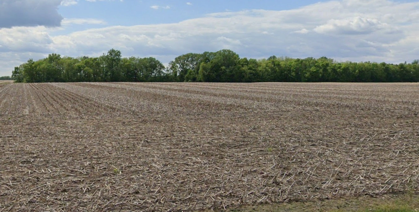 Bedavanya, Madhya Pradesh 456224, India