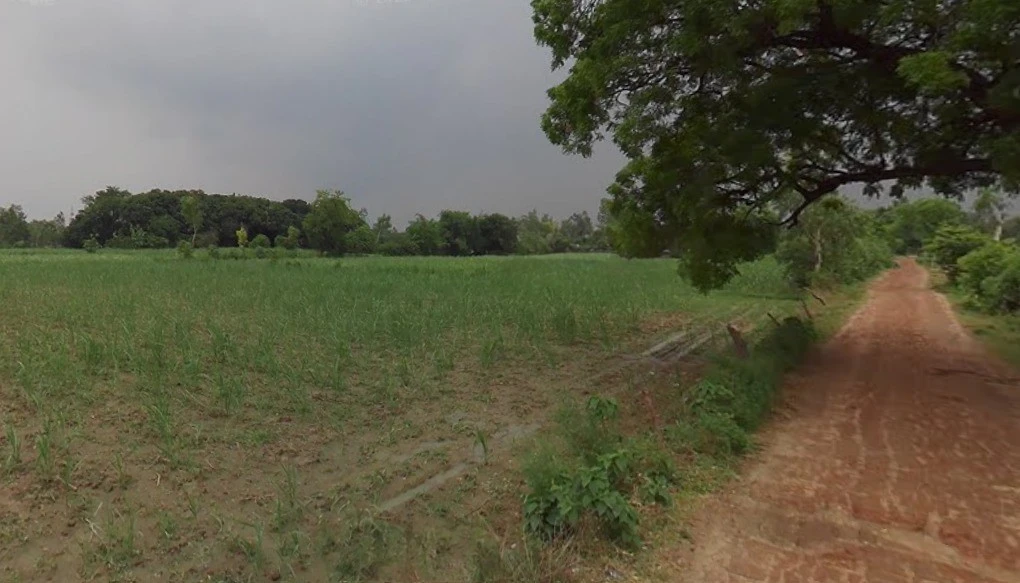 Maholi, Uttar Pradesh 261141, India