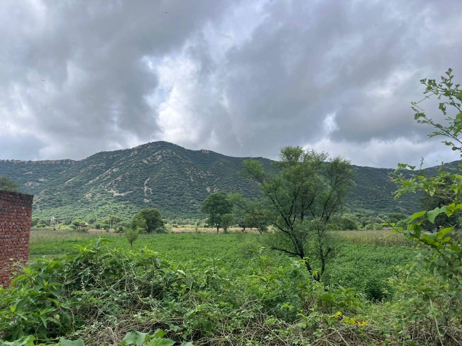 XRMX+5P6, Salarpur, Rajasthan 301411, India