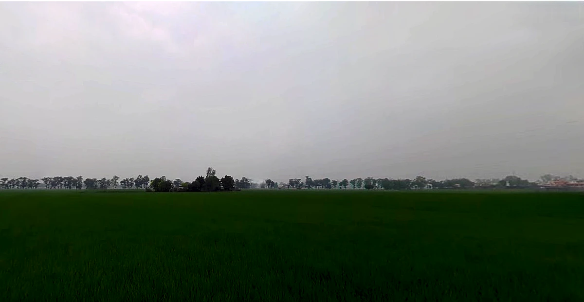 Shankar, Punjab 144042, India