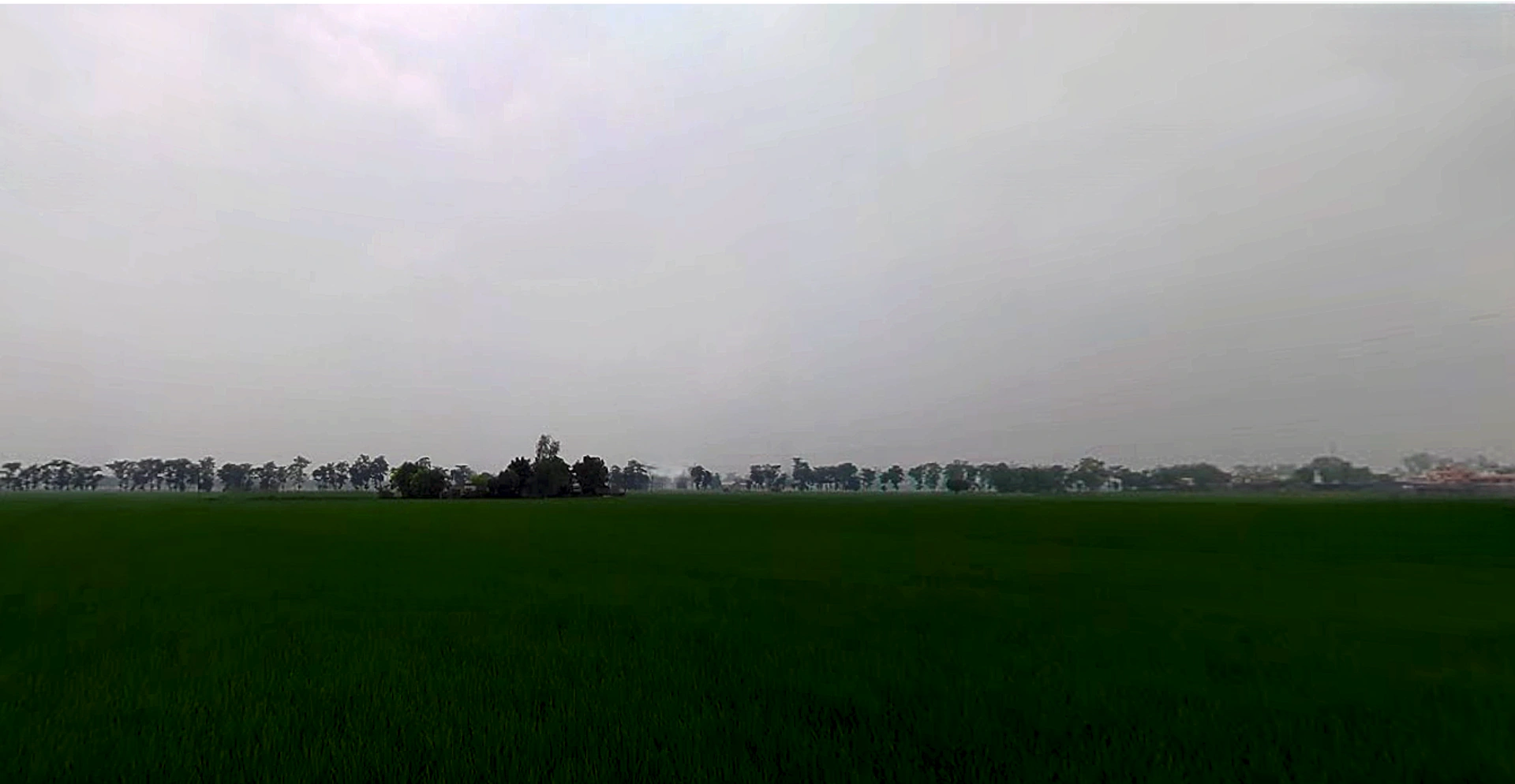 Shankar, Punjab 144042, India