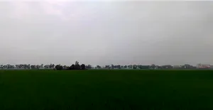 Shankar, Punjab 144042, India preview 3