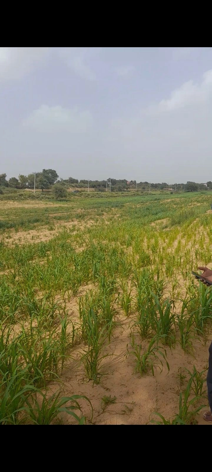 Raghuveerpura, Rajasthan, India