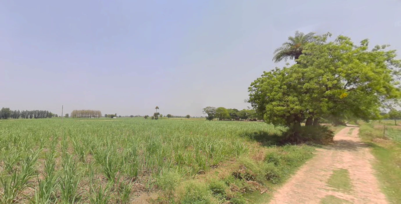 Noida, Uttar Pradesh, India