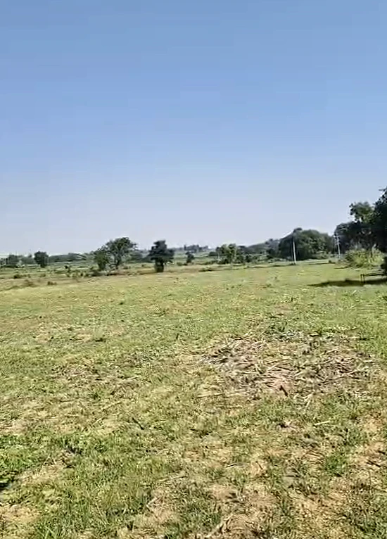 79W4+47, Nagarkurnool, Peddakothapally, Telangana 509412, India
