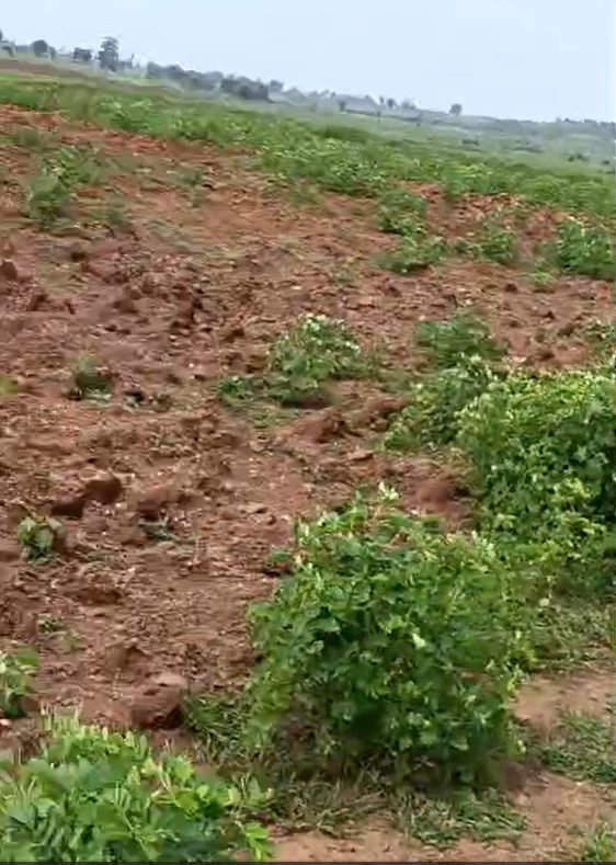 Balwada, Dhar, Madhya Pradesh 451224, India