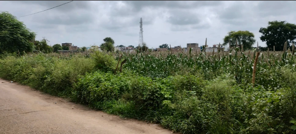 Marwahi, Chhattisgarh 495118, India