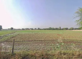 Kotkhawda, Rajasthan 303908, India preview 2